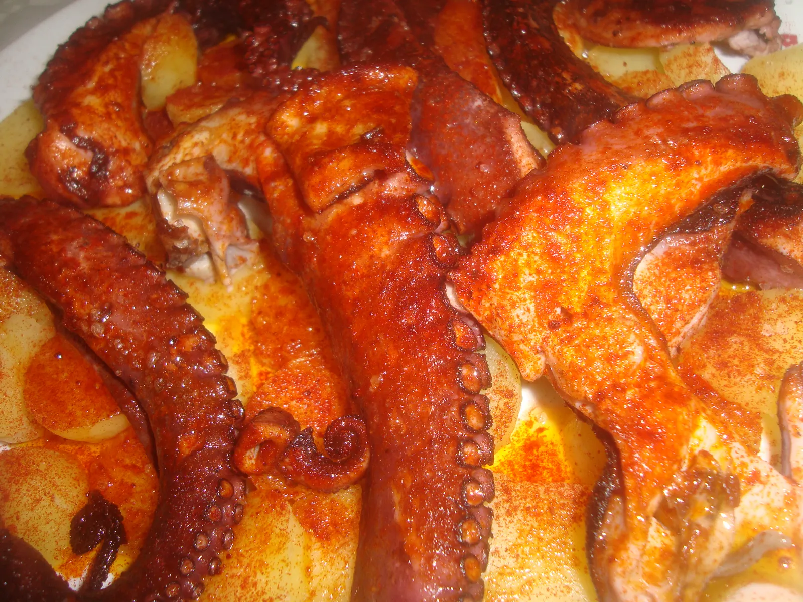 Polpo alla Gallega & Fritto